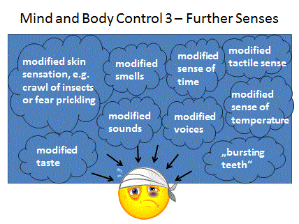Mind and Body Control 2 - Further Senses